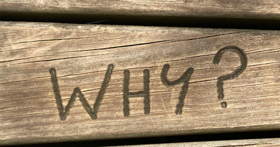 Mumbai Marathon: Running Through the Spirit of the City