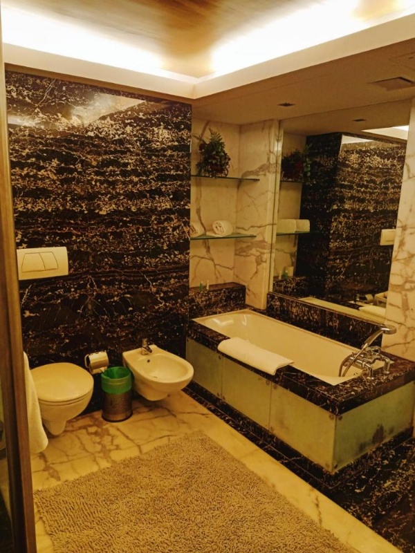 Mirage Hotel, Mumbai International Airport image 44